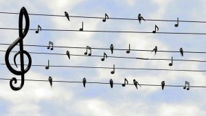 Vogels als zangnoten op hoogspanningskabels